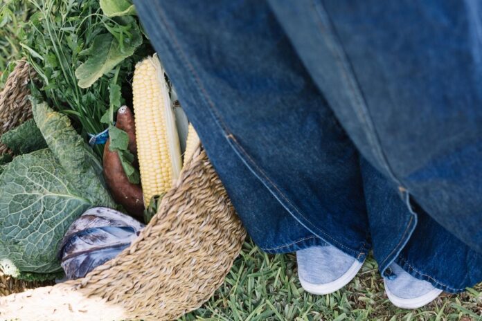 crop-legs-near-basket-with-vegetables