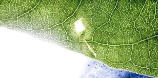 Nowe taryfy za energię – co czeka Polaków w 2025 roku?