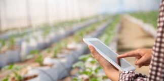 Rolnictwo spotyka science fiction: NVIDIA i lasery w walce z chwastami!