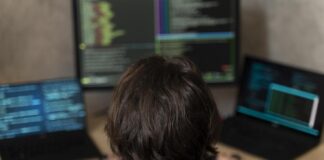 Cyberataki w Edukacji: Jak Rząd Reaguje na Cyberzagrożenia?